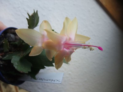 DSCF8761.JPG