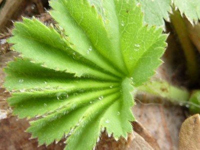 20120407 047 (640x480).jpg
