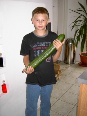 PICT0005-1.JPG