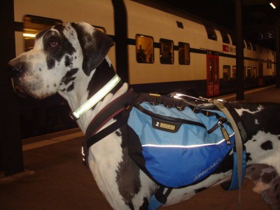 Grizzly Rucksack.JPG