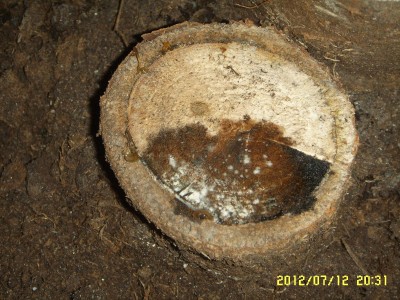 SSL13719.JPG