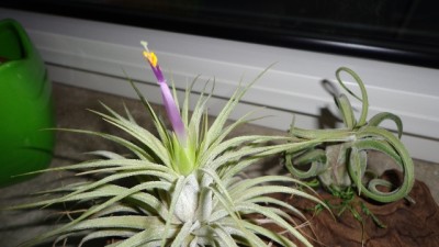 02.01.2013 020.JPG