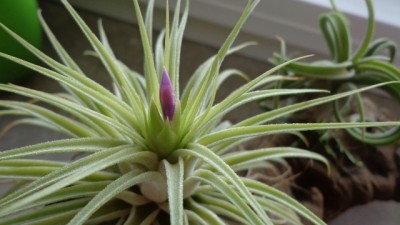02.01.2013 005.JPG