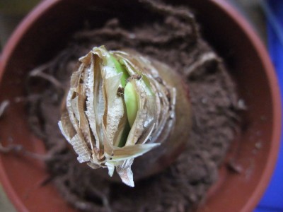 DSCF8789.JPG