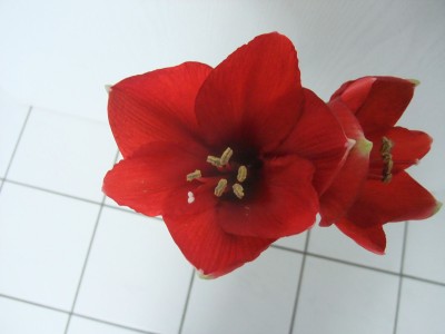 DSCF8788.JPG