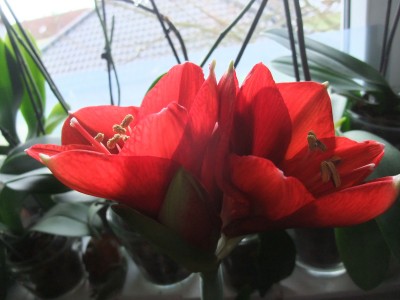 DSCF8784.JPG