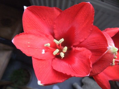 DSCF8782.JPG