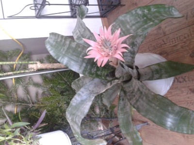 2013-01-04 14.39.40.jpg