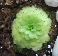 2012-03-14 15.47.40.jpg