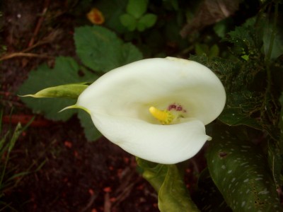 Bilder von 04.06.07 018.jpg