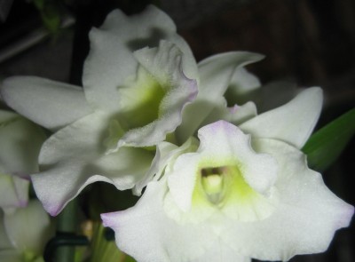 green11 144.jpg