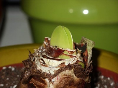 Photo3.jpg