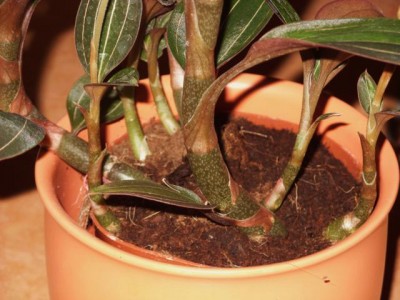Photo3.jpg