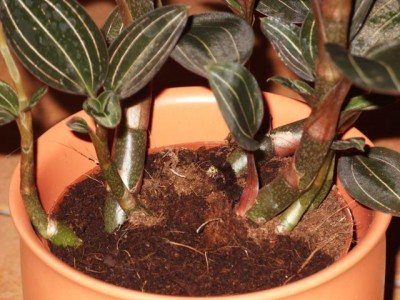 Photo2.jpg