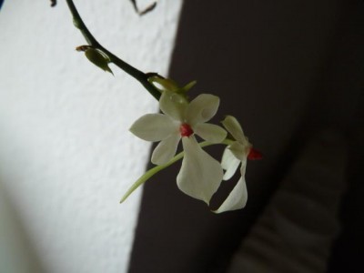 K800_P1050740.JPG