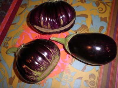 eggplant.jpg