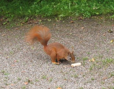 IMG_5788.jpg