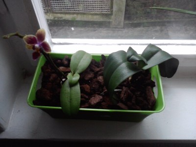 P100113_13.49.jpg