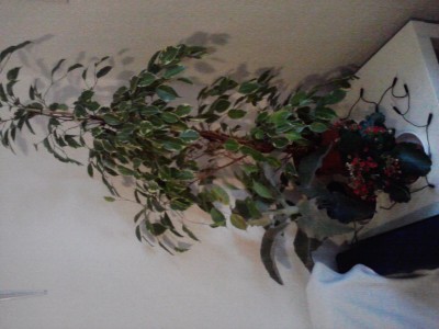 P100113_13.13_[02].jpg
