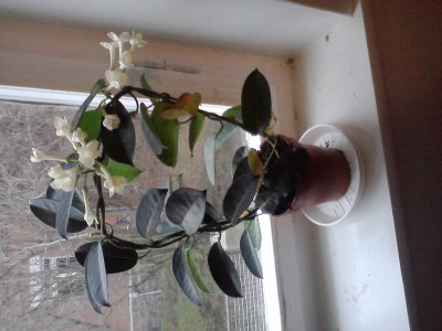 P100113_13.13_[01].jpg