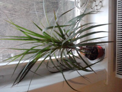 P100113_13.13.jpg