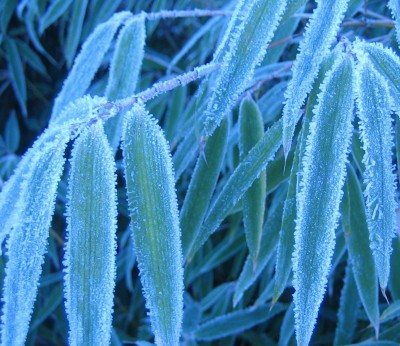 green11 166.jpg