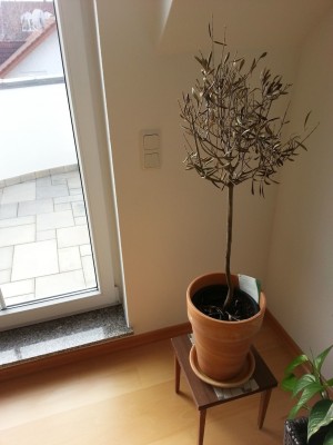 20130113_131408.jpg