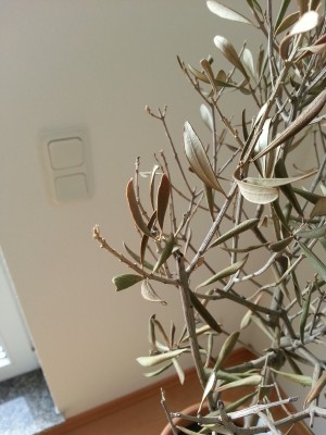 20130113_131414.jpg