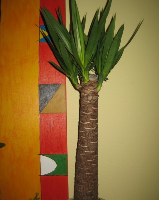 green11 171.jpg