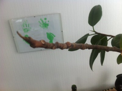 Foto2.JPG