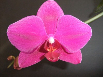 DSCF8844.JPG