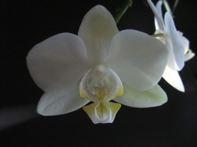 DSCF8831.JPG