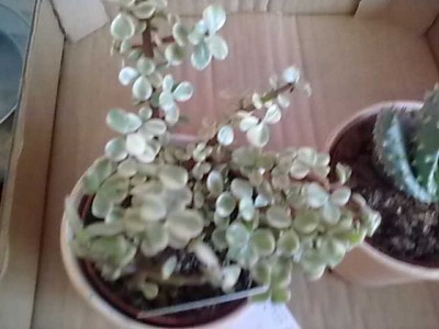 Bild358.jpg