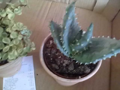 Bild357.jpg