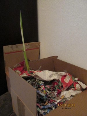 2013_0546.jpg