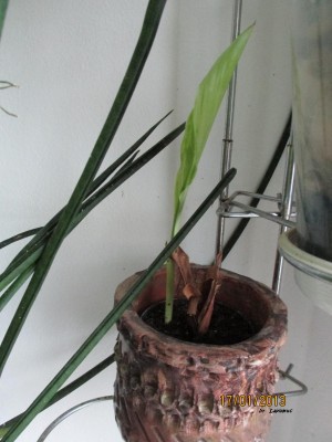 2013_0545.jpg