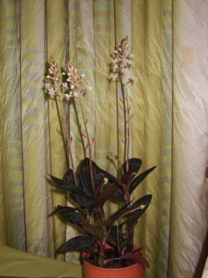 Photo1.jpg