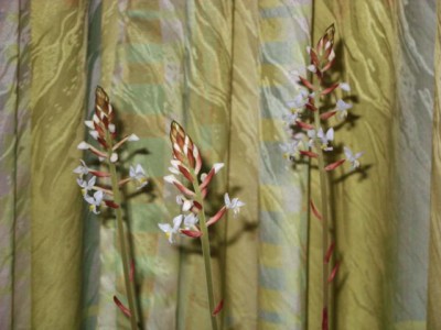 Photo2.jpg