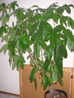 PICT0002.JPG