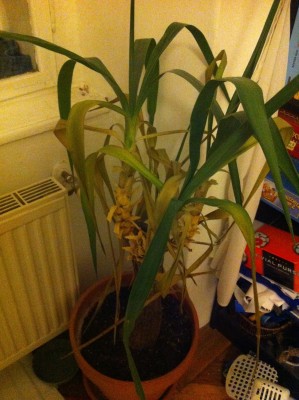 2013-01-20 01.40.36.jpg