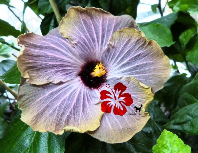 F.  L. 20012013 verkleinert.jpg