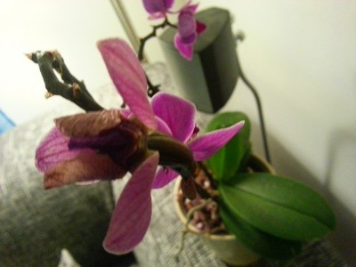 20130123_185745.jpg