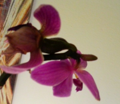 20130123_185730.jpg