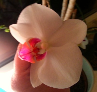 20130123_185522.jpg
