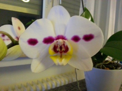20130123_185449.jpg