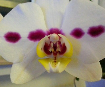 20130123_185446.jpg