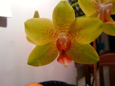 20130123_185357.jpg