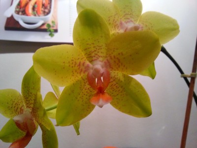 20130123_185343.jpg