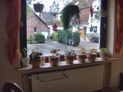 Hpim0156.jpg