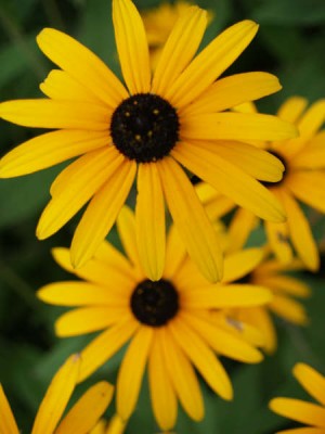 P9024157.JPG